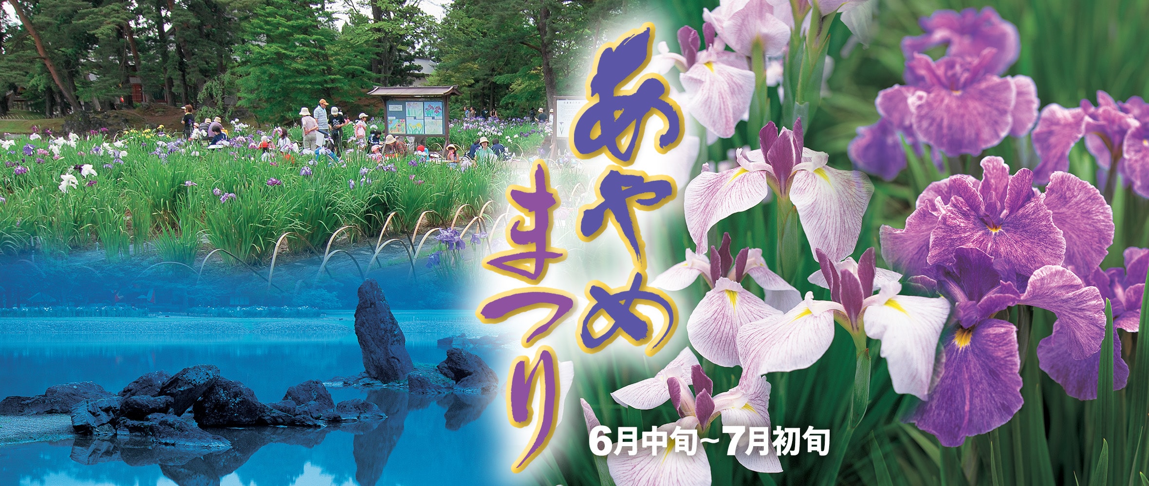 あやめまつり